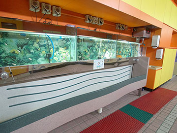 臭氧消毒洗手池